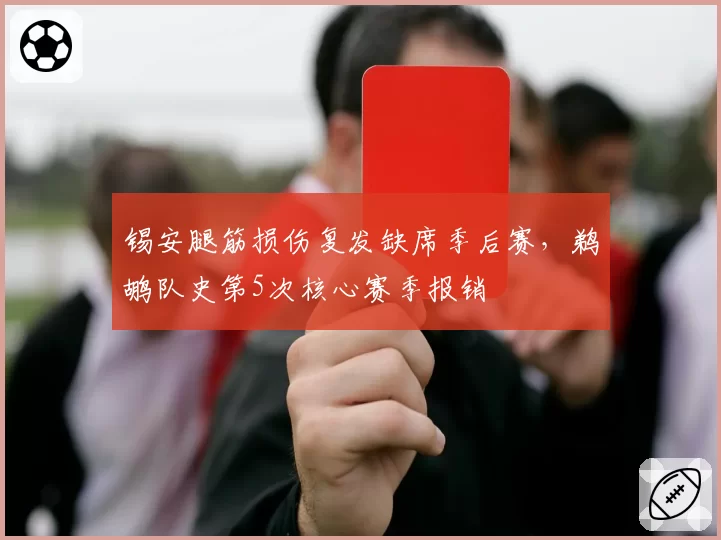 锡安腿筋损伤复发缺席季后赛，鹈鹕队史第5次核心赛季报销