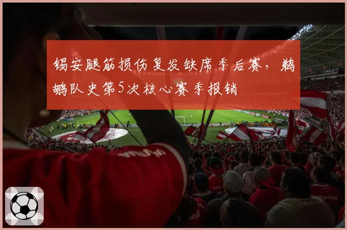 锡安腿筋损伤复发缺席季后赛，鹈鹕队史第5次核心赛季报销