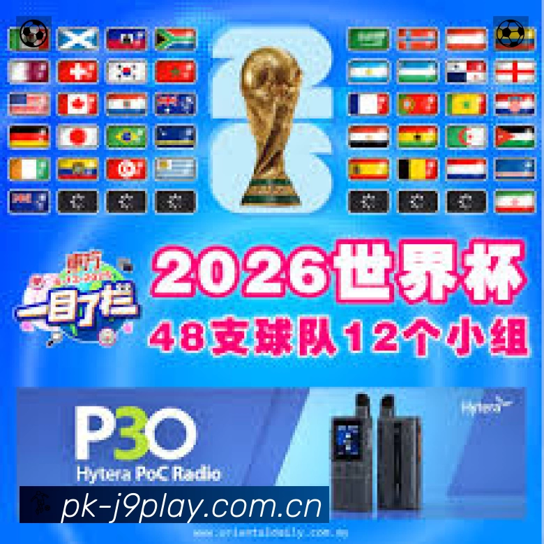 安全防护与风控机制